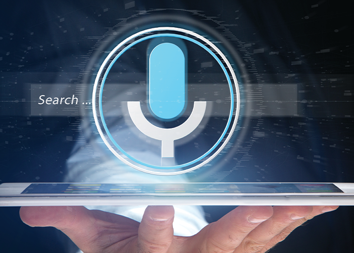 Cover: Preparing Innovative Marketing Campaigns for Voice Search